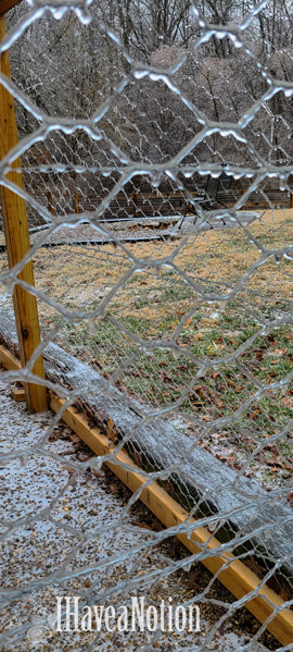 Ice storm one