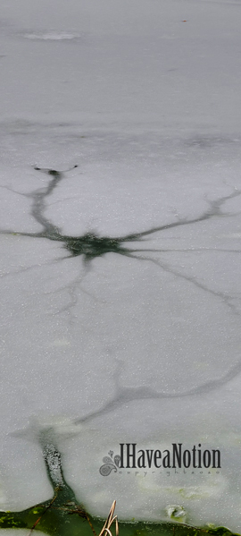 Snow on the cracked ice